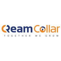 Testing Team Lead, Python Developer, Devops roles been closed.