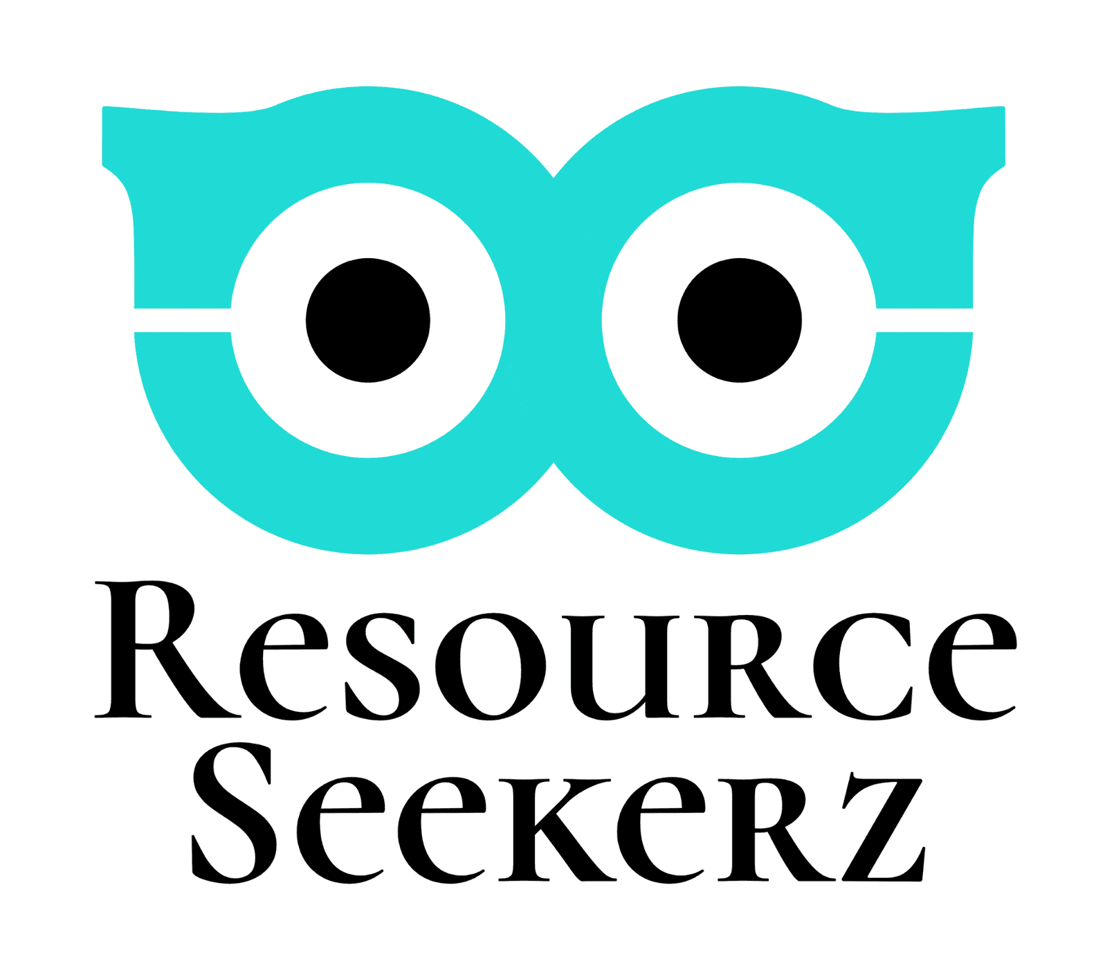 Resource Seekerz Logo- Recruitment Firm for IT, Marketing, Digital Roles